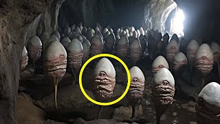 Bilim İnsanları Gölün Altındaki Mağarada Dünyayı Korkutan Bir Şey Buldu