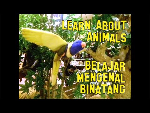 Mainan Anak : Belajar Mengenal Binatang - Learn About Animals  | Zebra Monkey Tiger Rabbit Lion Bird Belajar meneganal binatang melalui boneka-boneka lucu.Belajar meneganal binatang melalui boneka-boneka lucu.Zebra, Rusa, Jerapah, Monyet, Gorila, Singa, Pelikan, Kelinci, Harimau ...