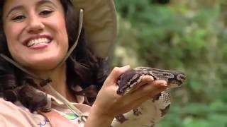 Animaleando 2Da Temporada