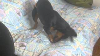 A Melody E Sua Calcinha Kkkkkkk Linda Da Mamãe.
