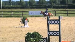 Vierjahreszeiten Mandarin Blanche Mystral X Ysselvliedts Irma Damarisvink Com