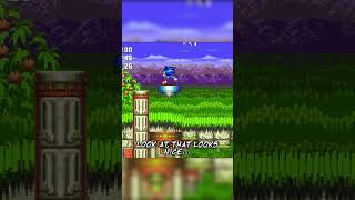 Sonic 3 Has The Best Sprites