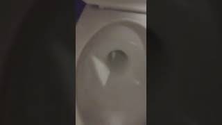 Bar Bathroom 18