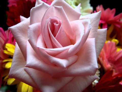 Phool Phool Pe Bani Teri Tasveer
