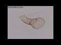 3D-модель берлоги камчатского бурого медведя