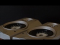 7D - Loudspeaker Slow Motion Test