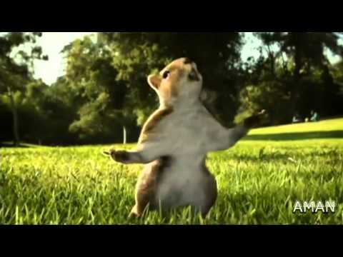KIT KAT squirrel Ad 2010 (india) HD