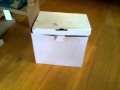 Feisty Bengal 'Cat in a Box' ......!!!!