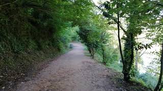 Ormanda Yürüyüş Walking In The Forest