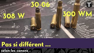 308 Win Vs 30-06 Vs 300 Win Mag