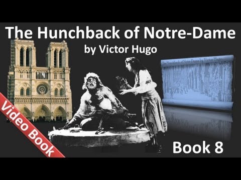 Book 08 - The Hunchback of Notre Dame Audiobook by Victor Hugo (Chs 1-6)