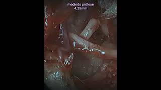 27 De Maio De 2023