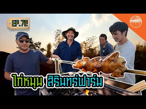 ไก่หมุนสิรินทร์ฟาร์ม - สิรินทร์ฟาร์ม EP.72