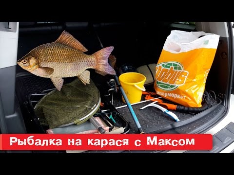 рыбалка на карася и сома макс ловит рыбу пугает катю рыбалка на карася и сома макс ловит рыбу пугает катю