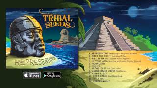 Watch Tribal Seeds Dont Wait video