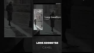 Camel Long Goodbyes - Touching Verse