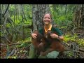 Borneo Apes - Malaysia