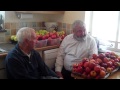 Cider
