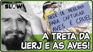 A UERJ E A A UERJ E A