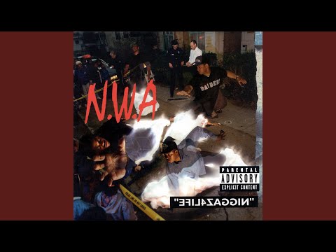 Niggaz 4 Life Video