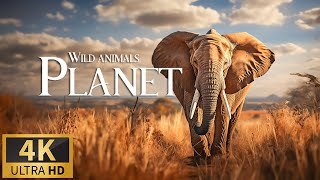 Animals Of Planet 🐾 Legends Of The Wild ~ Tales Of Adventure With Earth's Fiercest Wildlife Heroes