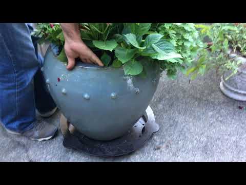 Heavy Duty Plant Caddy - Makes Cleaning Easy