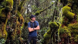 Gunung Liang East & West Via Resort Tsr In Behrang, Slim River, Perak