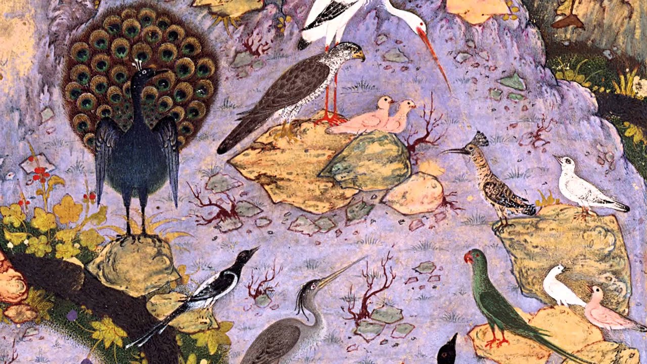 the relation between birds and dinosaurs essay the relation between birds and dinosaurs essay