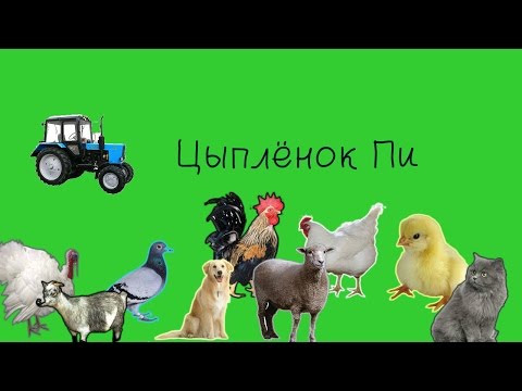 скачать mp3 цыпленок пи