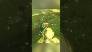 Korok Guide Find Korok Seeds In Zelda Breath Of The Wild