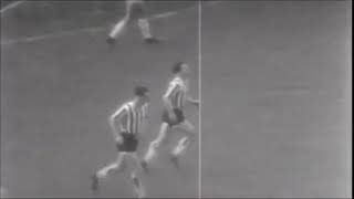 QxNjixVur_o Video Image