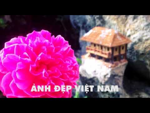 NHỮNG BẢN NHẠC GHITA GIAI ĐIỆU DỄ NGỦ - BÀI GHITA HAY | NHẠC KHÔNG LỜI