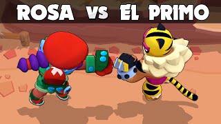 EL TIGRO vs ROSA | 26 Test