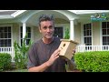 MY SPY BIRDHOUSE Tips & Tricks