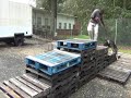 K9
