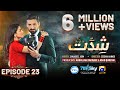 Shiddat Episode 23 [Eng Sub] Muneeb Butt - Anmol Baloch - Digitally Presented by PEL - 22nd Apr 2024
