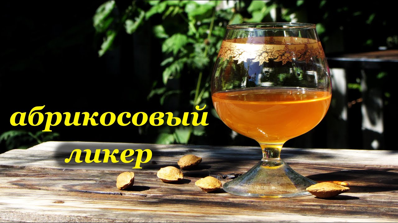 Ликёр из абрикос в домашних условиях Ликёр из абрикос в домашних условиях