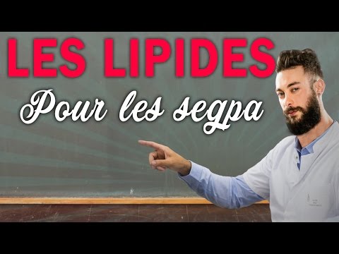 Die Masse Video