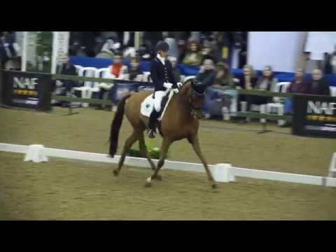 Winter Champs 2018 - Laura Wollen