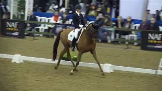 Winter Champs 2018 - Laura Wollen