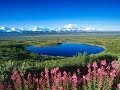 Watch Denali National Park Video