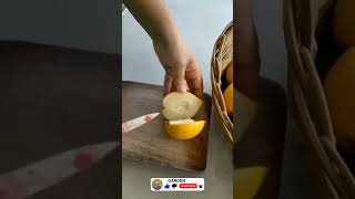 Pouteria Caimito