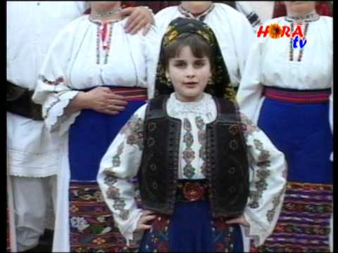 ALEXANDRA CIORTE - Foaie verde viorea