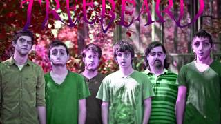 Watch Treebeard Star Garden video