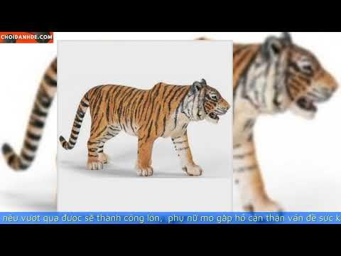 Nằm mơ thấy hổ đánh con gì | Số mơ lô đề | LIXI88.COM