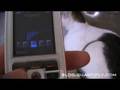 Foto pequena Sony Ericsson W800i Animated Menu