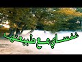 ghafsai غفساي