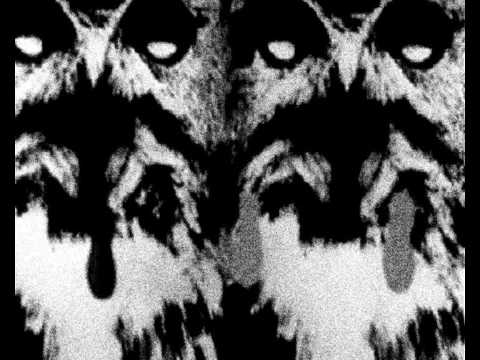 Jonestown Massacre Pictures. The Brian Jonestown Massacre