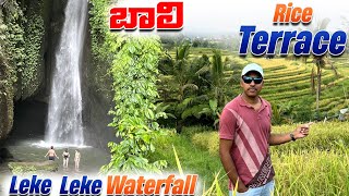 Leke Leke Waterfall in Bali || Jatiluwih Rice Terrace || Bali s in Telugu