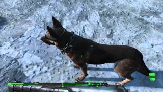 Coldscape Fallout 4